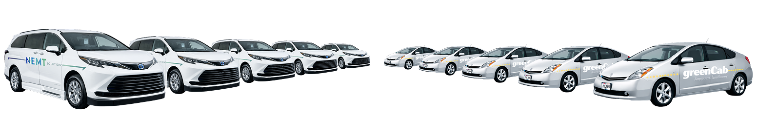 NEMT Fleet